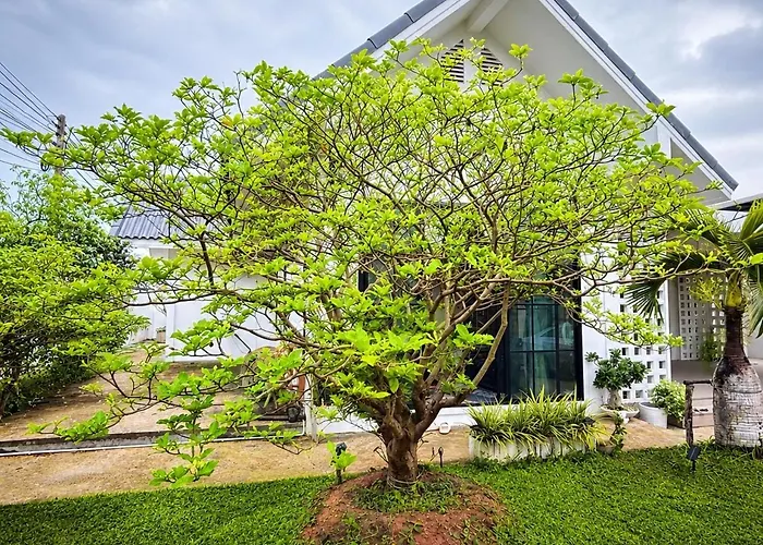 No 5 วันหยุดที่บ้าน
